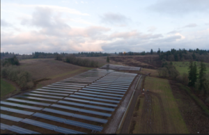 Oregon Community Solar Field
